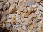 Sladké dorty